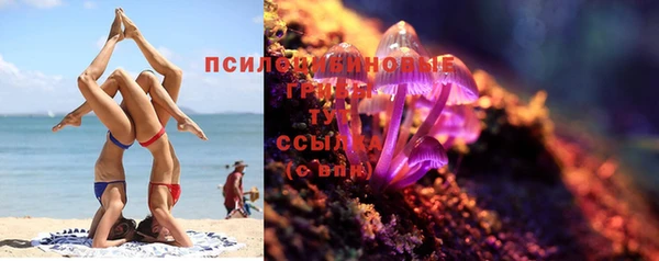 мяу мяу мука Армянск