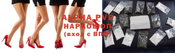 крисы Баксан