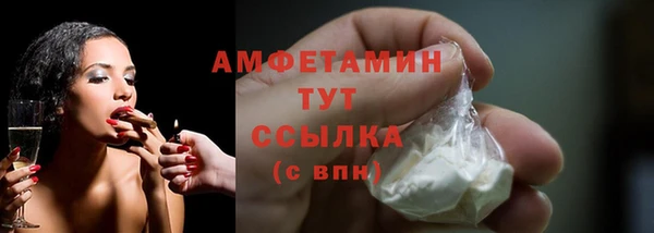 крисы Баксан