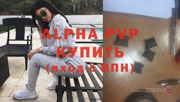 крисы Баксан