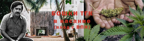 мяу мяу мука Армянск